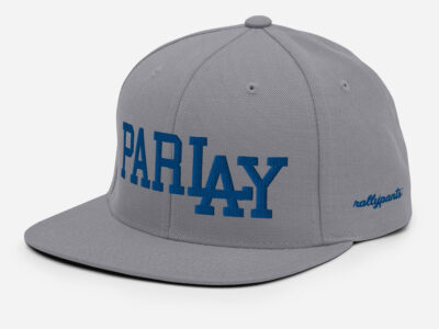 PARLAY - snapback hat grey/blue