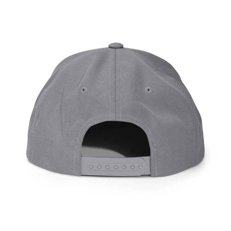 LATINA - snapback hat grey/blue - Image 2