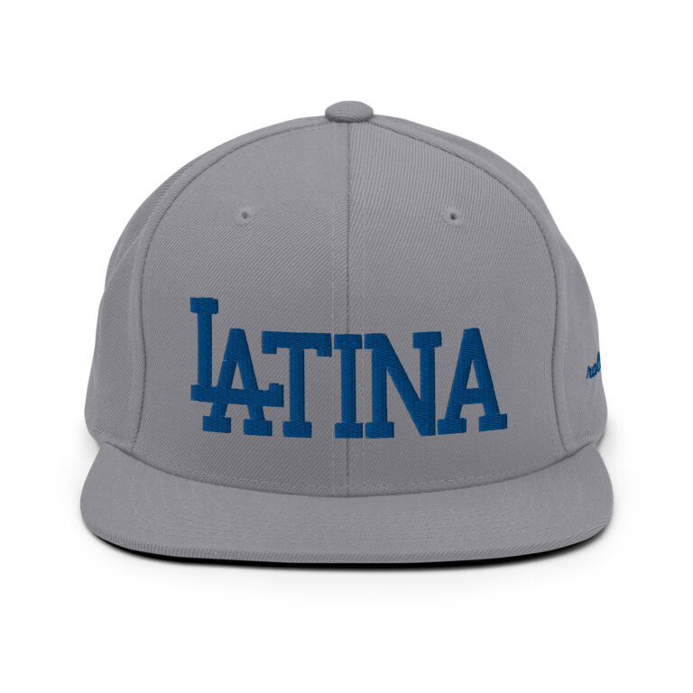 LATINA - snapback hat grey/blue