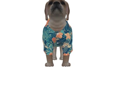 pet hawaiian shirt - rarotonga turtle reef lagoon teal/coral/sand