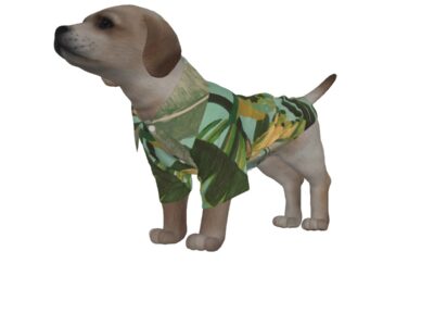 pet hawaiian shirt - side door banana leaf/seafoam/palm shadow