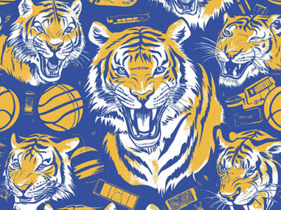 northport blue/gold